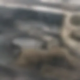 Diagram illustrating common causes of kitchen sink clogs