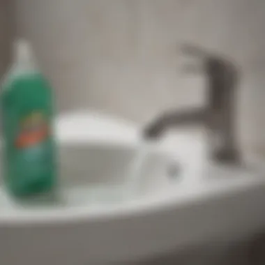 Application of Dish Soap Close-up of dish soap being poured into a toilet bowl