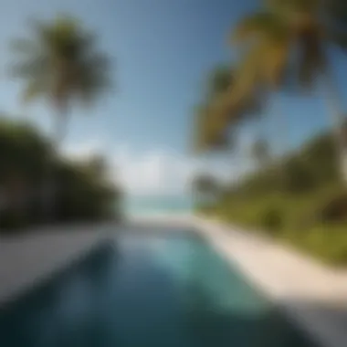 Scenic beach view of Key Biscayne with palm trees and clear waters